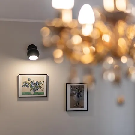 Napoleon & Apartament Susa