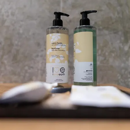 Napoleon & アパート スーザ