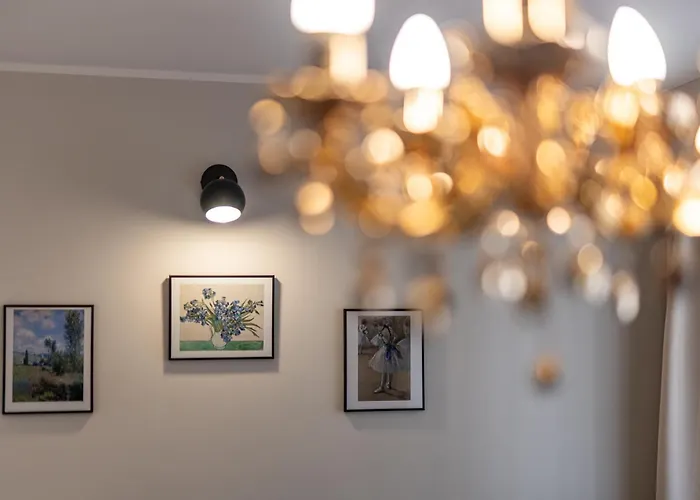Napoleon & Apartament Susa